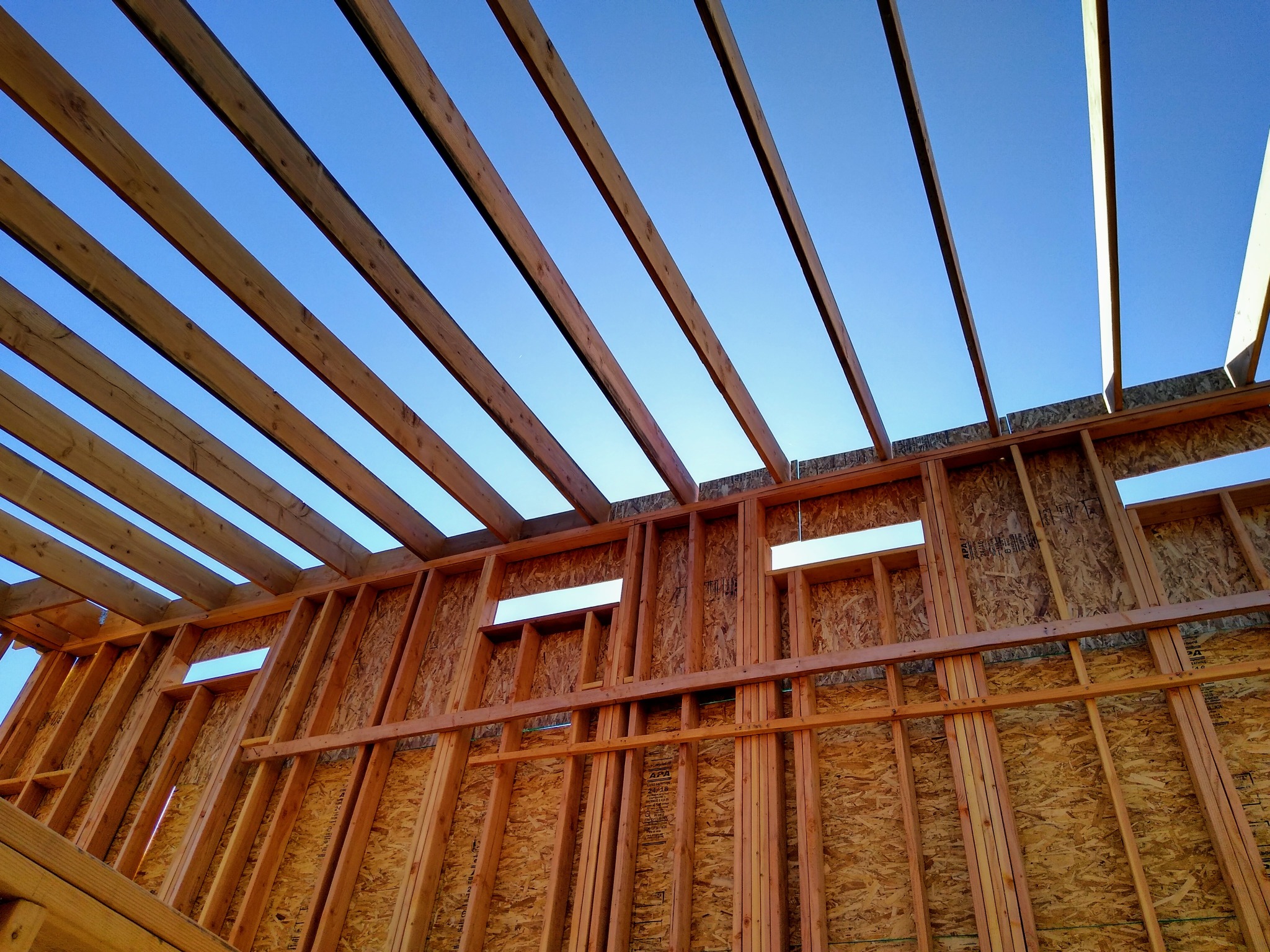 Framing and sheathing in progress